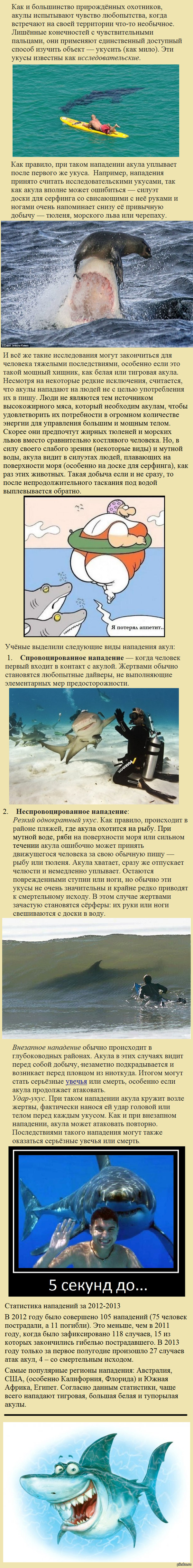 �����. ������� ���������