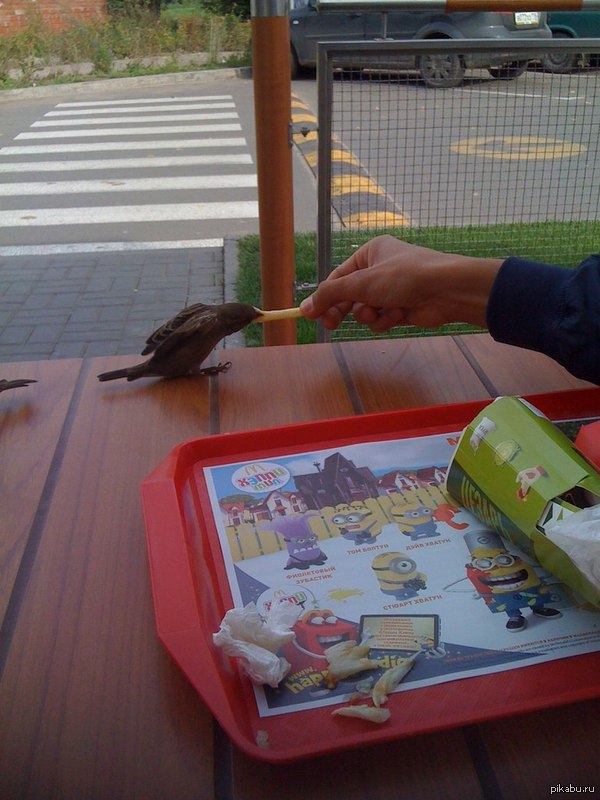 просто решил поделиться..!!)))))