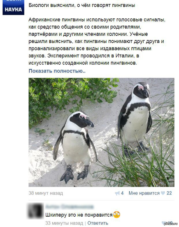 ��� ���������