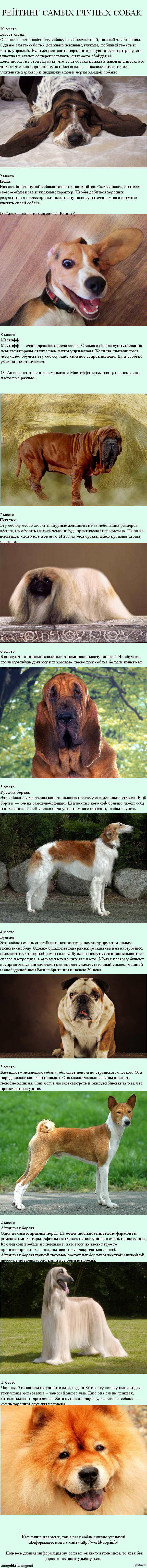 ������� ����� ������ �����