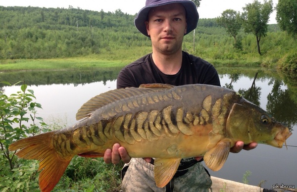 ��� ������, ���������� ����, 6 ��.