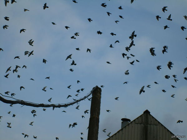 &quot;  ...   ...&quot;