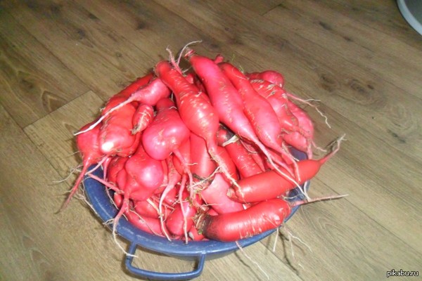 ���������...�����...