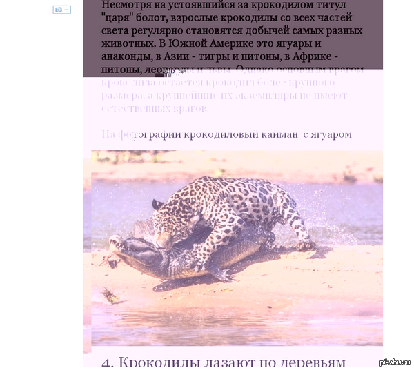 �������� �����, ��� ������? ������ �������� � ������������.