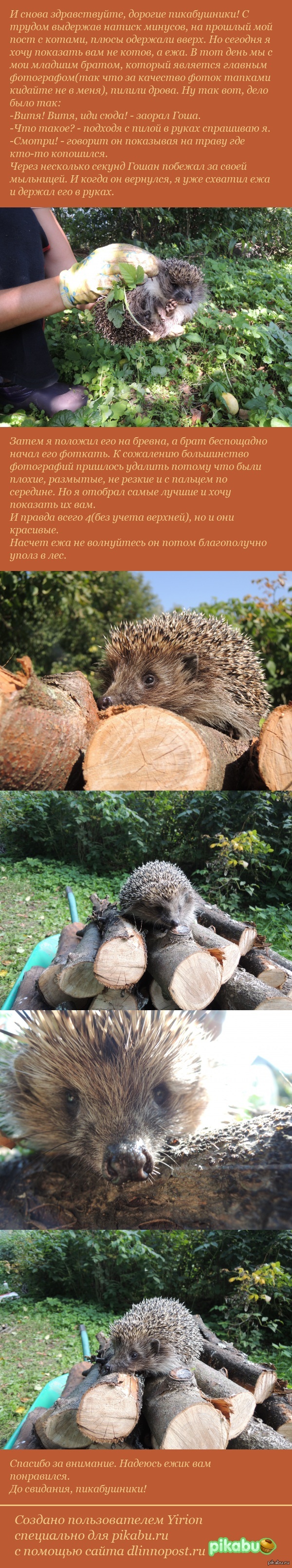 �� ��� ��. ����� � ������ �� ���� ��������. ��� �� �����, ������� �� ���.