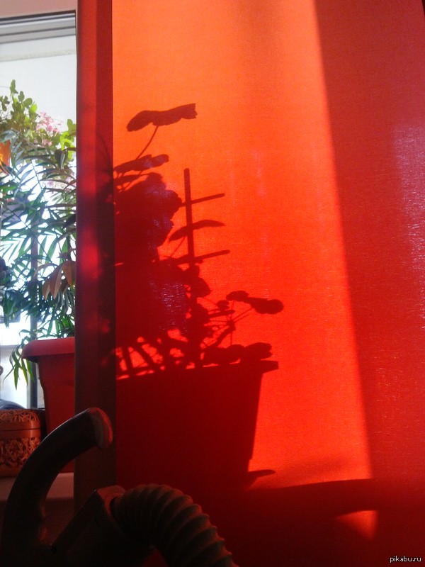 ������ � ������� ����� �� �������� �������