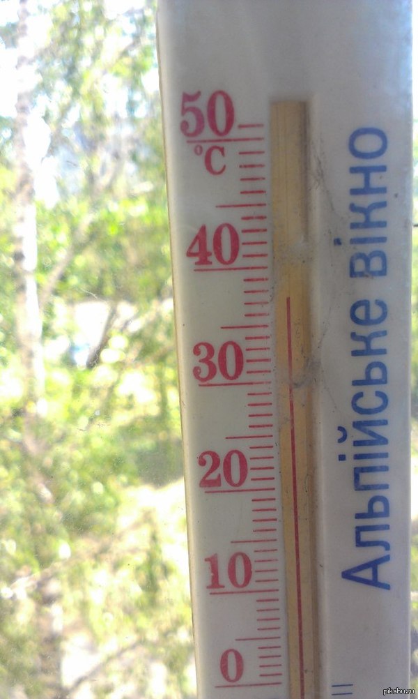 ������ �� �����. ��� � ���� ��������.