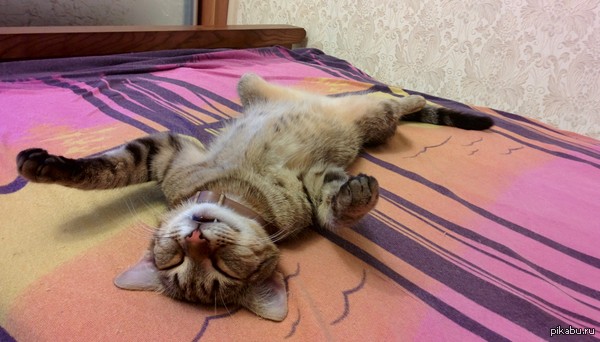 ����� ������� ��������� ��� ���