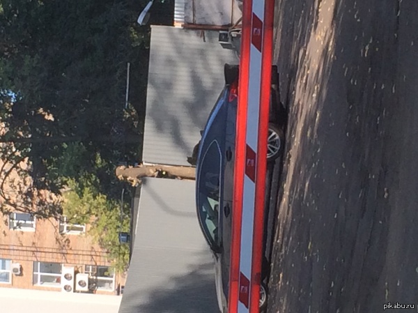 Just a cat sunbathing on cars in Moscow, chip) - NSFW, cat, Cool