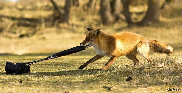 Будет знать!