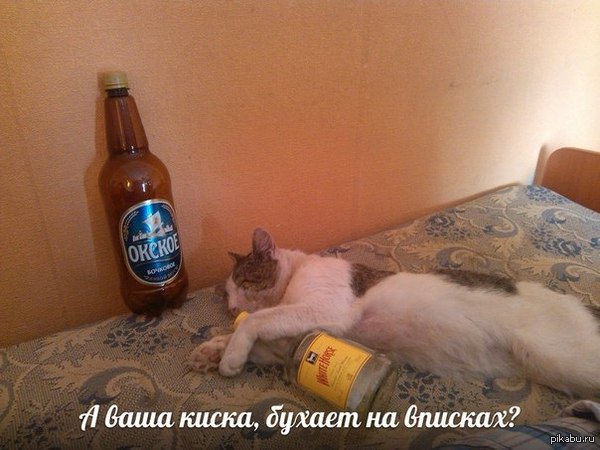 Хорошо отдохнули