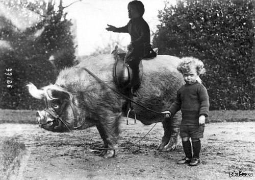 Так лучше мне кажется (навеяно постом http://pikabu.ru/story/_2543919