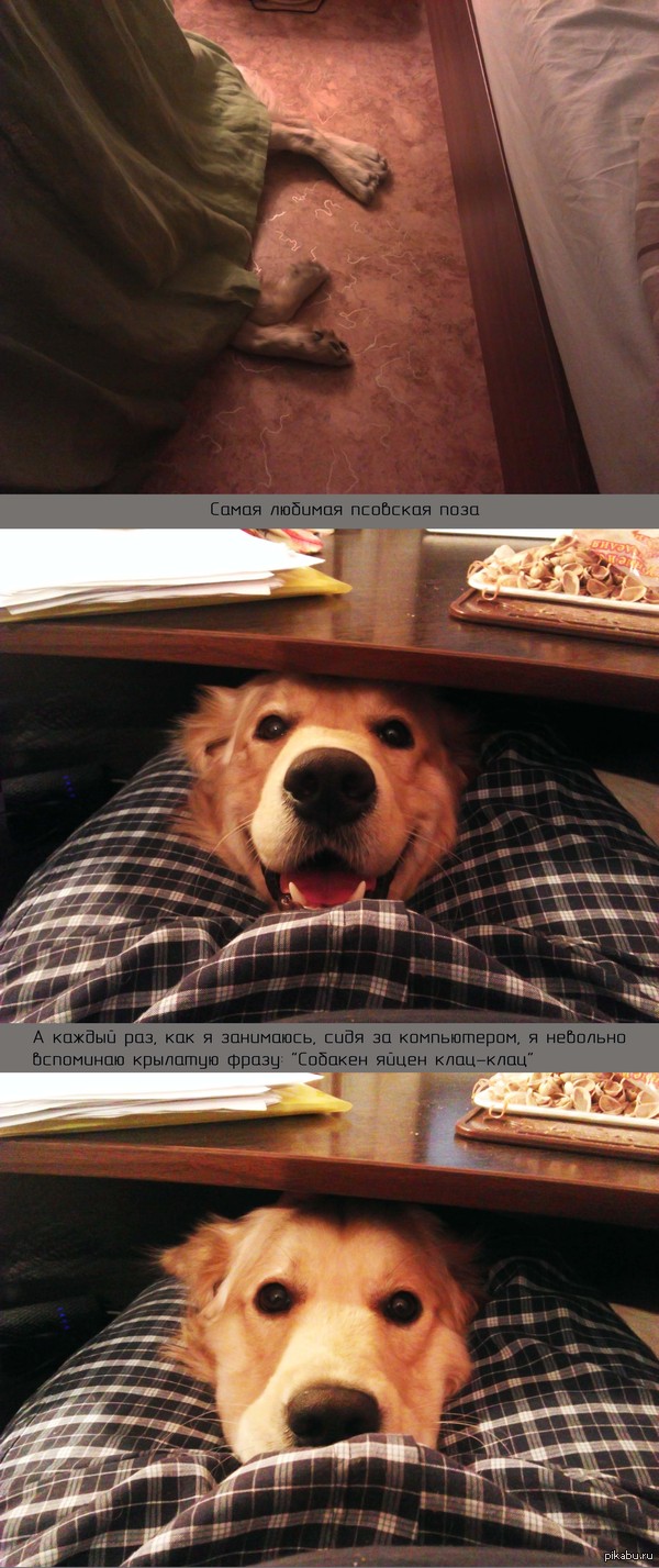 ������� ������