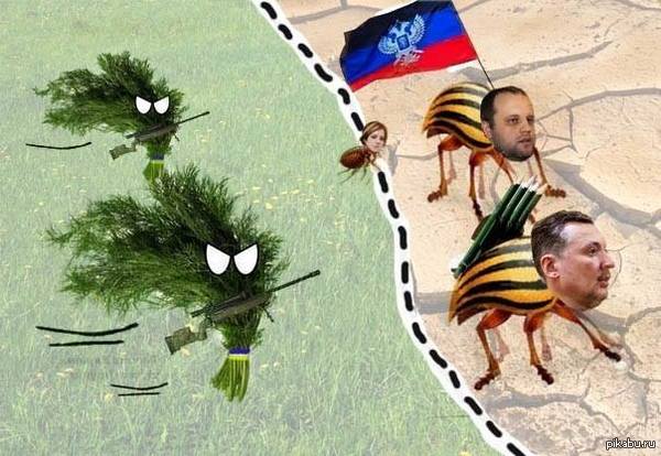 ��������)