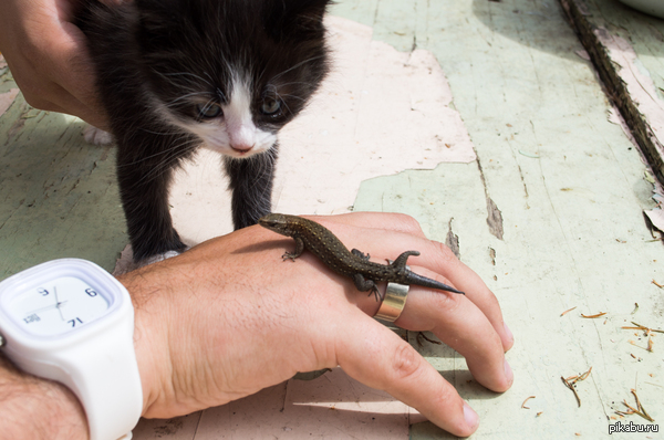 ������� � ���������� �������.