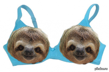 sloth bras - NSFW, League of Leni, 