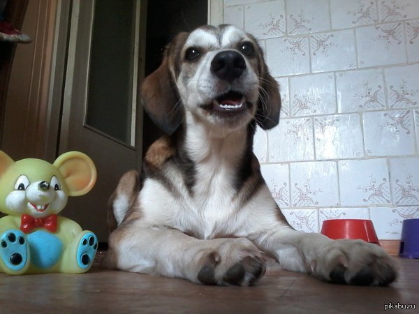 ������� ����� ������� �������!