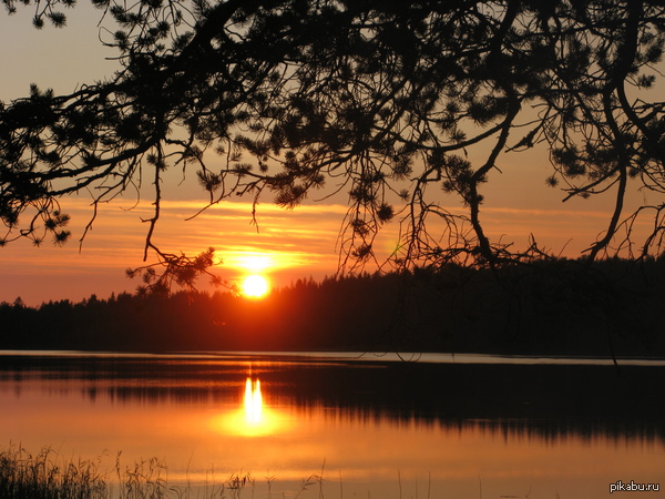 ����� � �������