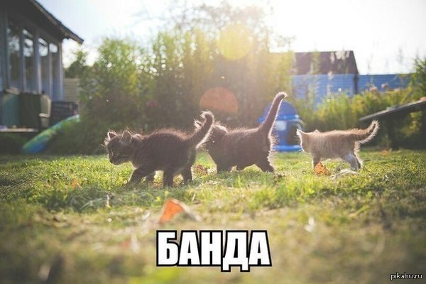 &quot;     ?     !&quot;