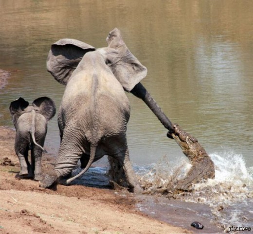 Продавец и покупатели на базаре