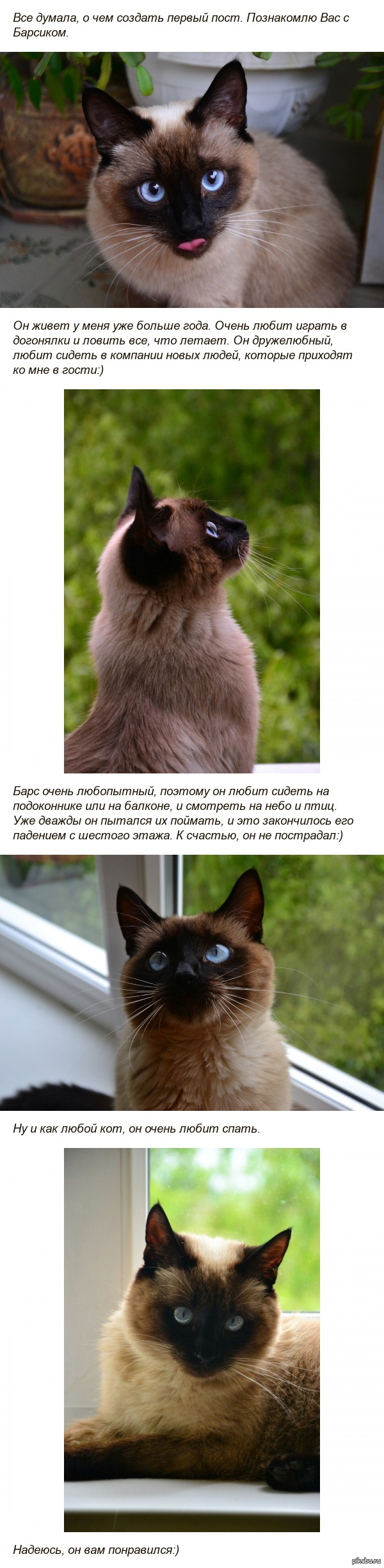 ������ ����������� ������� � ������