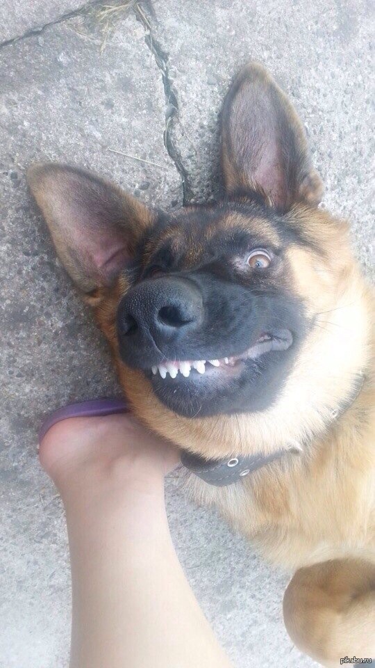 �� ������ ��������