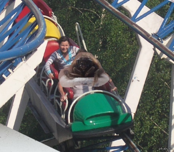 ������������� ������� �������)  �� ����:  http://pikabu.ru/story/_2548665