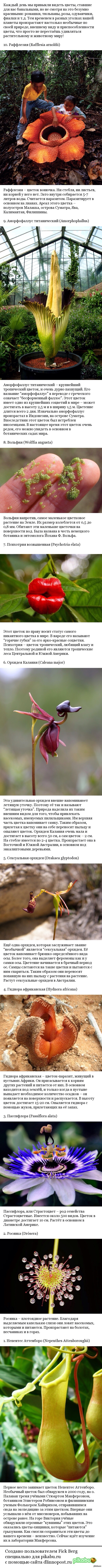 �������� �� ������ ��������:(����������.��� 10 ������ ���������.