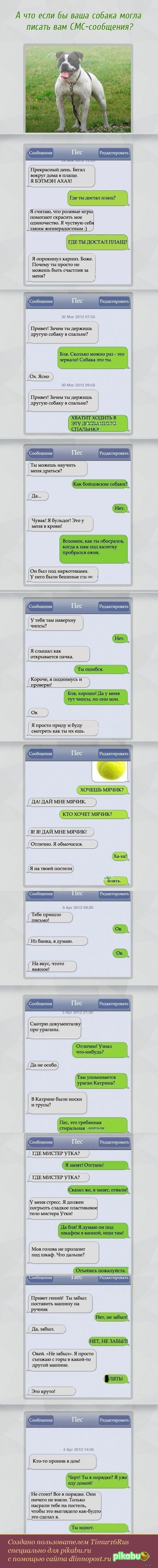 ��� ���� ��, ���� �� ������ ����� ������ ���