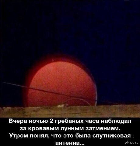 Gee... - Moon eclipse, Observation, Images