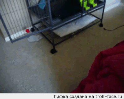 Он сломался