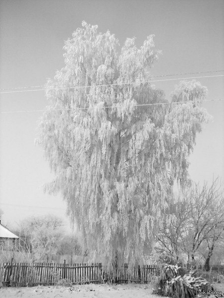 ���� �������!������ ���� ���������� � ���� ���� ������ �������!� ���� � ������ ������ ���(�������),� �� ����-2012����