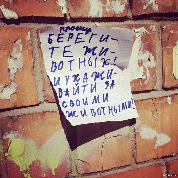 �������� ��������