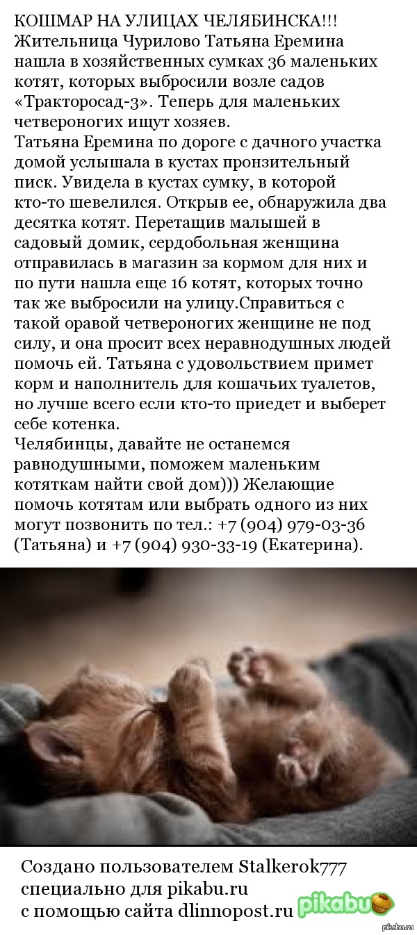 ������ �� ������ ����������!!!