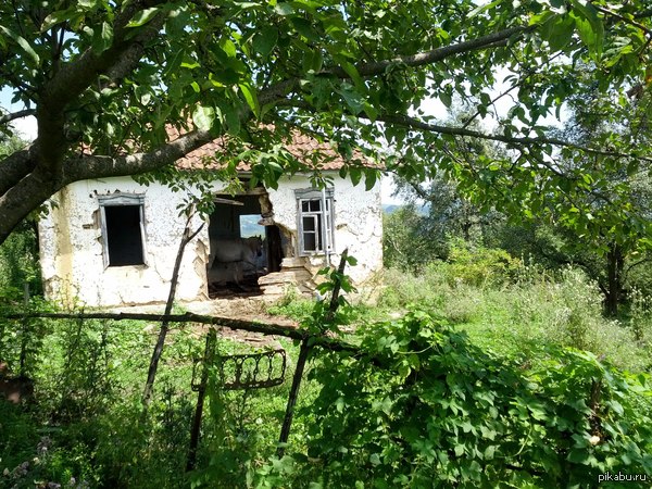 ���� ��������. ��������� �����. �����.