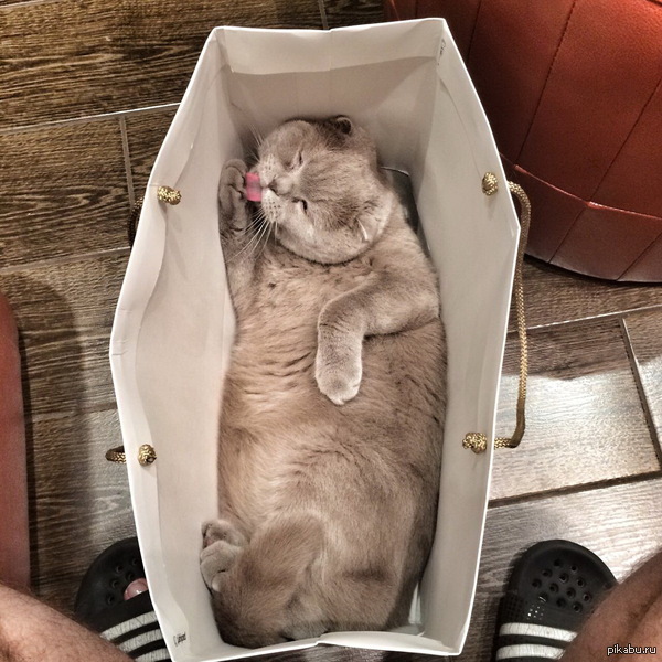 ��� �� ������.
