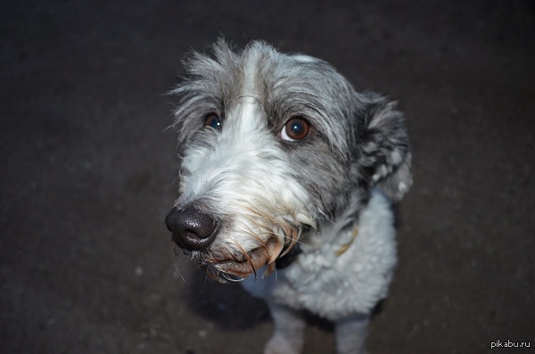 ��� ������