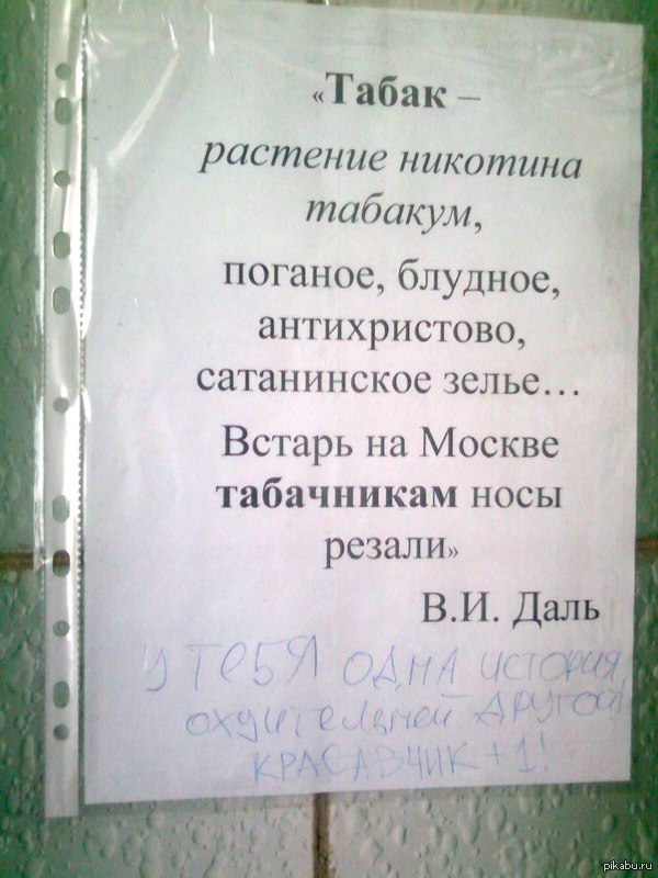 Даль муйни не скажет