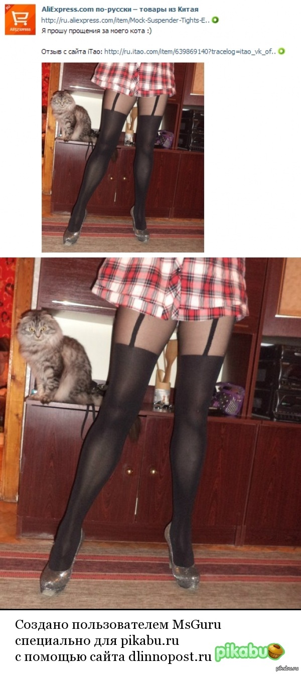 "Я прошу прощения за кота..."