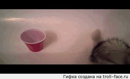 Возьми на ручки