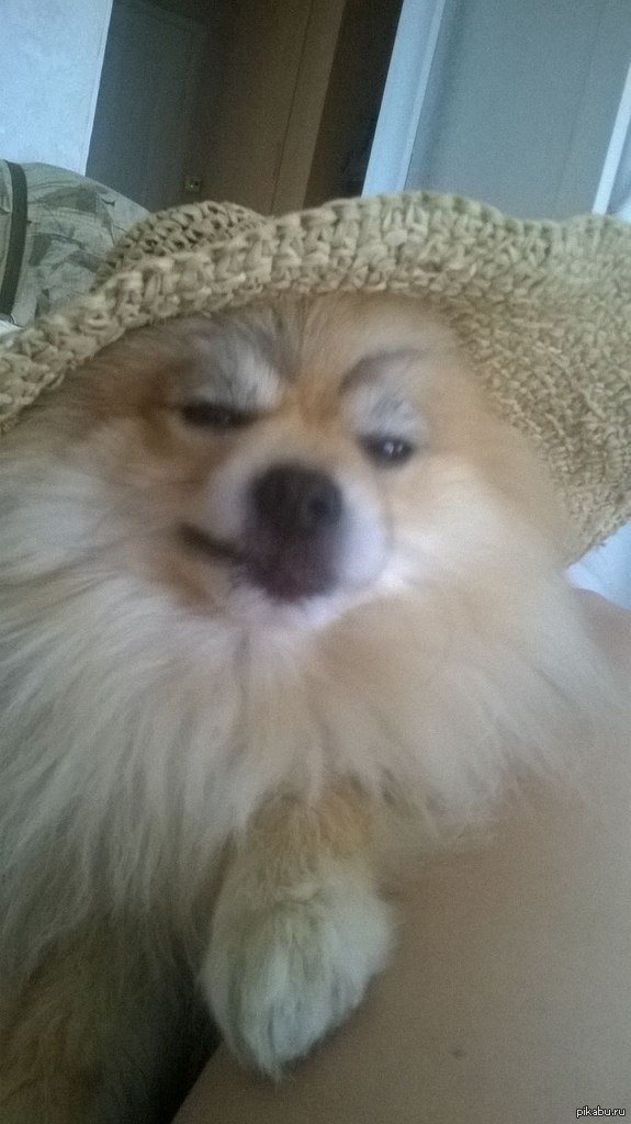 �������� ���� ��� ������ ��������?