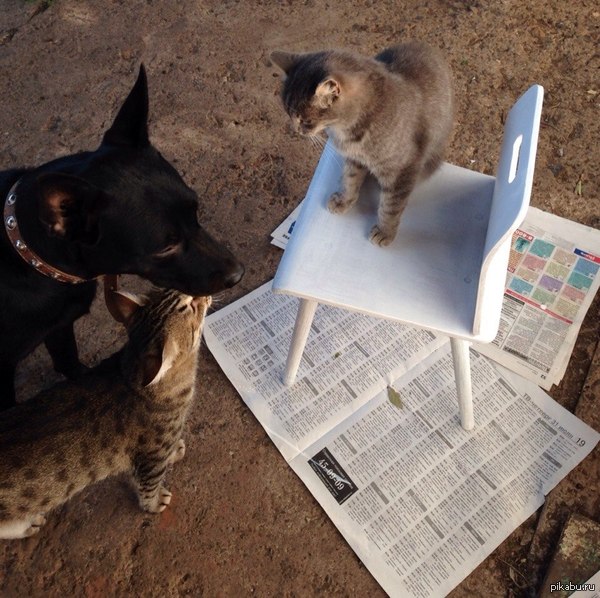 ������ ������ �������