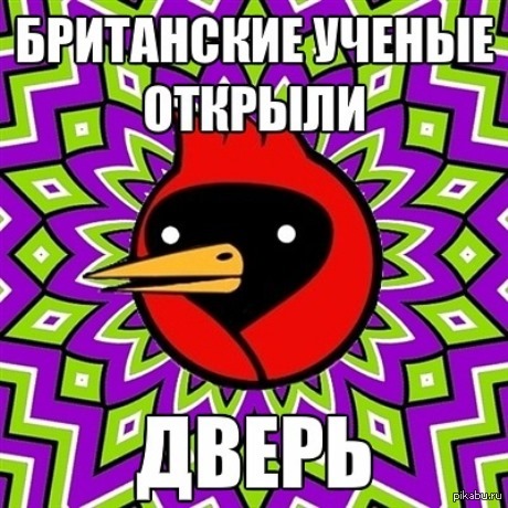 Закон 5 секунд. Британские ученые переставить буквы. Британские ученые доказали что переставленные буквы.