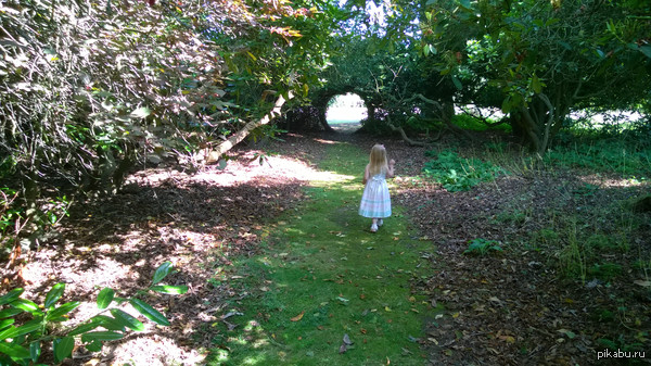 ����� � ������ �����