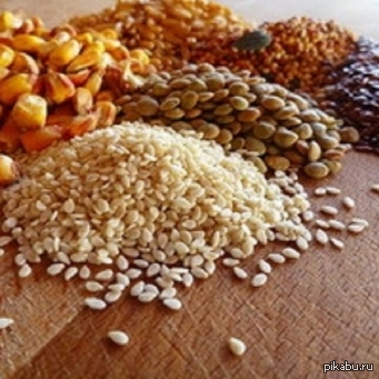 ������ ��������� ��� ���� �����������