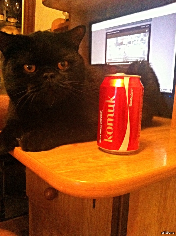 Coca Cola для котика ^^