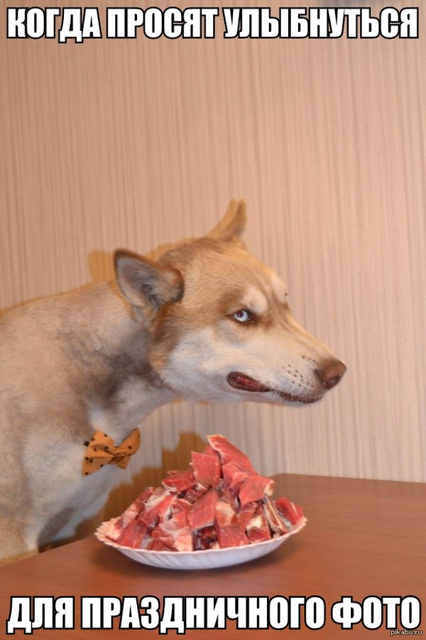  : http://pikabu.ru/story/_2578532