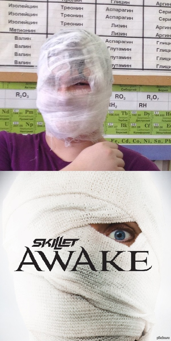   Skillet     Skillet
