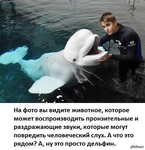 �� ������ ��� ���� ���������� ��������? ��� ������, ���� ��� ������, ��������, � ����� � ���� ���.