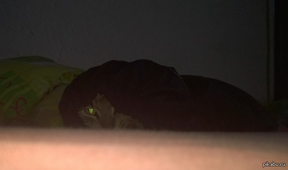 Псс, парень, не хочешь немного темной силы?